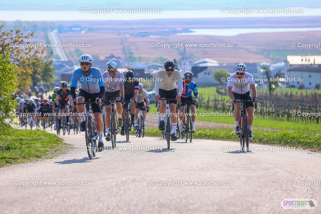 TRA_0136 | Neusiedlersee Radmarathon 2026@sportshot_your_pictrs #yourpictures#roadtowm2029 #nrm #neusiedlerseeradmarathon #neusiedlersee #neusiedlerseetourismus #burgenland #mörbisch #nrm26 #burgenlandtourismus #voglundco #poweredbyburgenlandtourismus #radsport #rad #marathon #ucigranfondo #visitburgenland #ucigranfondoworldseries