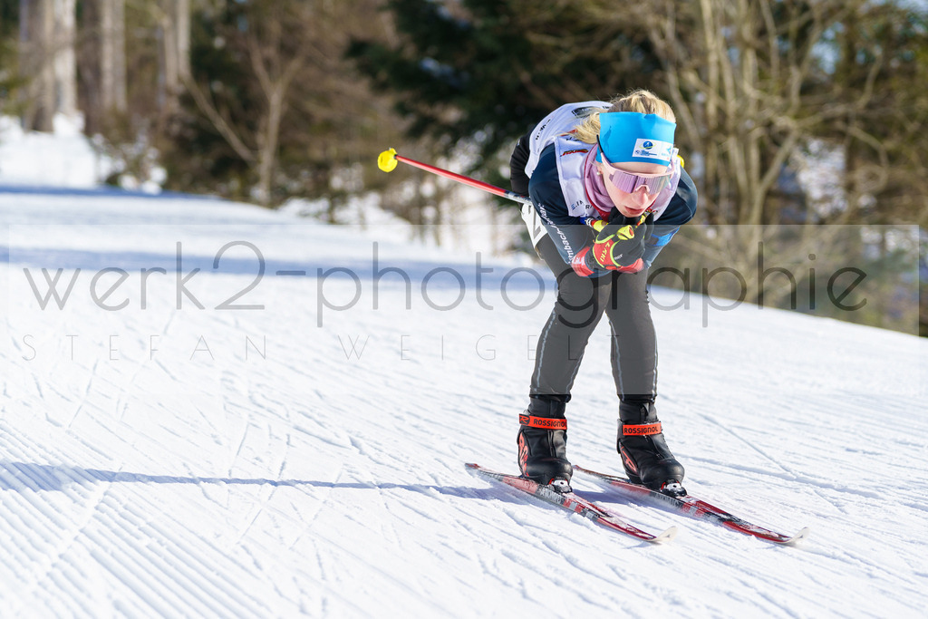 DSC Arber | Bayerischer Wald am 9. bis 12. Februar 2023
