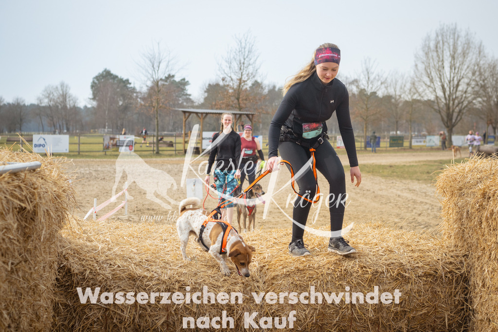 1043_ZZ98511 | kk-dogfotos