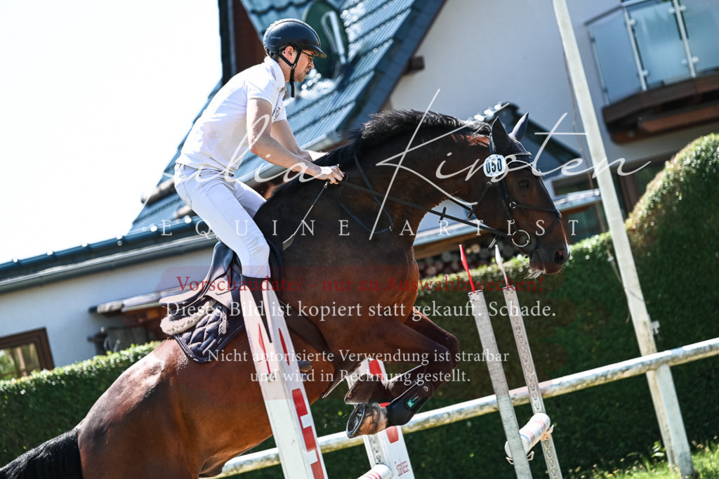 DSC_0472 | Pferde- und Turnierfotografie in Westsachsen. Pferdeportraits, Auftragszeichnungen und intuitive Kunst.