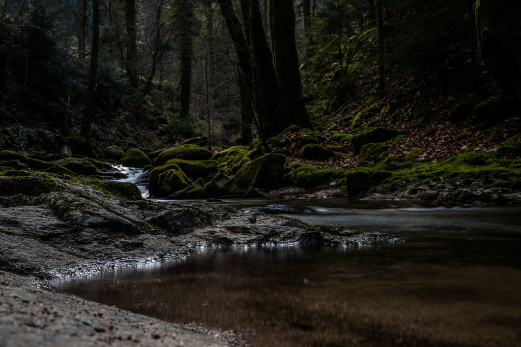 IMG_2116 | ehrlichefotos - Realisiert mit Pictrs.com