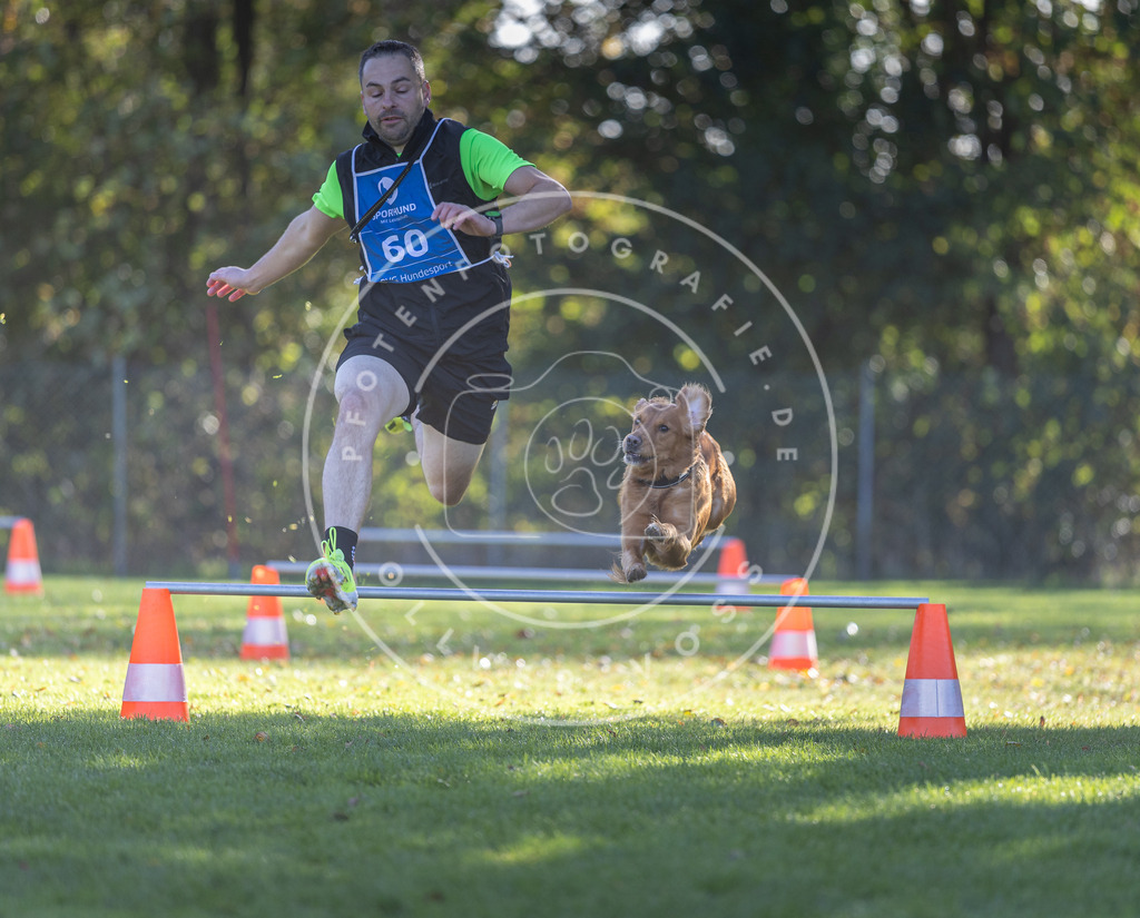 Pfotenfotografie.de_DV3A3159 | Hundefotografie, Tierfotograf, Pfotenfotografie, Fotoshooting Hund, Hunde Portrait, Hundesport, Hundeportraits, Heideshooting, Hunde, Sportfotograf, Hundefotograf, Turnierhundsport, THS, canicross - Realisiert mit Pictrs.com