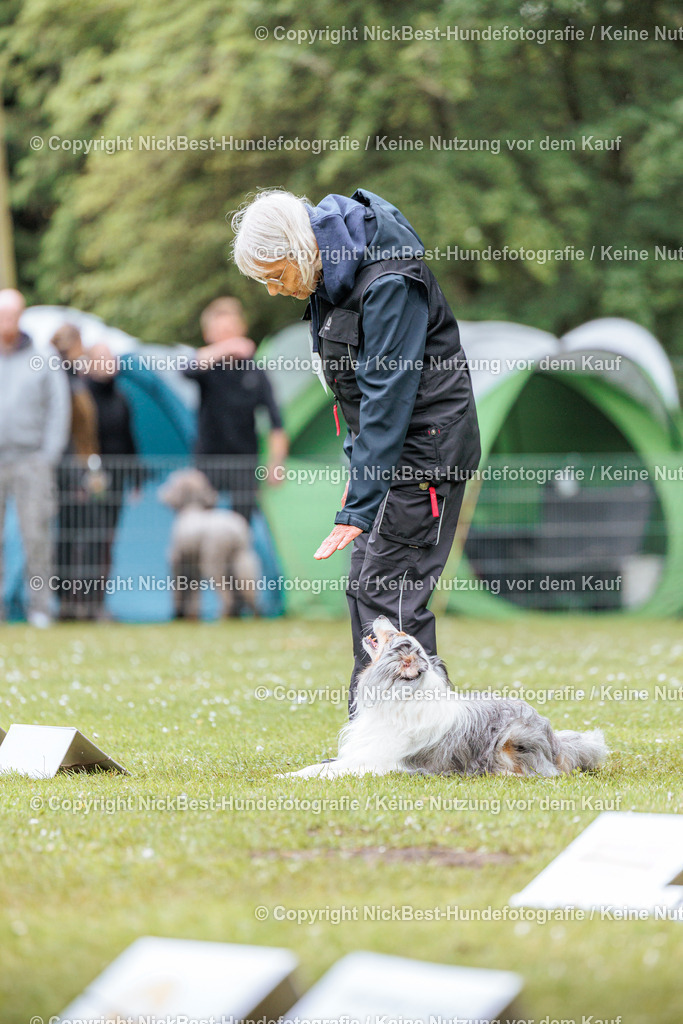 RO-Blumenthal-2026-Nickbest-Hundefotografie-4277 | Dein Hund! Dein Moment! Deine Erinnerungen! Hundefotografie in Bremen Blumenthal. Ich fange die besonderen Momente deines Vierbeiners ein – ob Indoor mit Blitzanlage oder in der freien Natur. Sicher dir dein Moment und dein Termin für eure Erinnerungen.