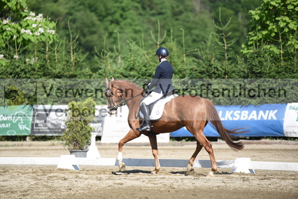 DSC_7598 | equestrian-live-com