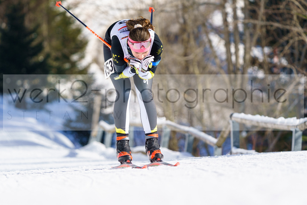 DSC Arber | Bayerischer Wald am 9. bis 12. Februar 2023
