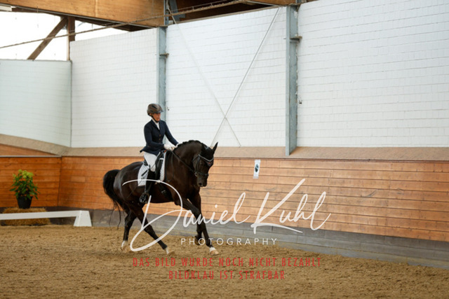 _62_6894 | Turniersportfotografie; Pferdefotografie; Dressurfotografie