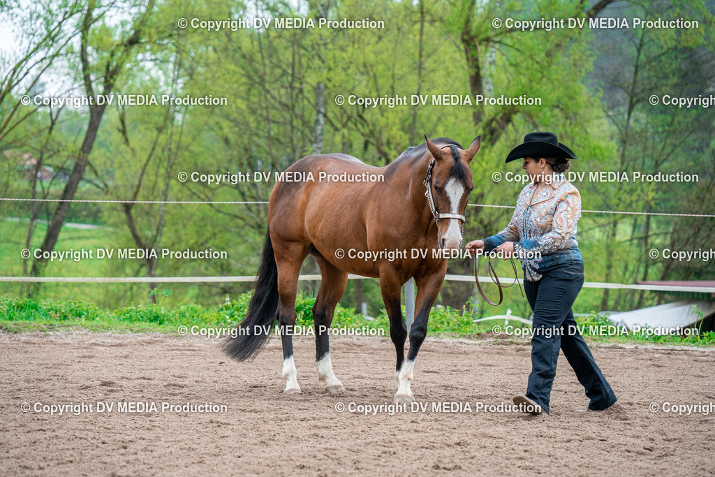 BA300151 | dv-media-shop - Realisiert mit Pictrs.com