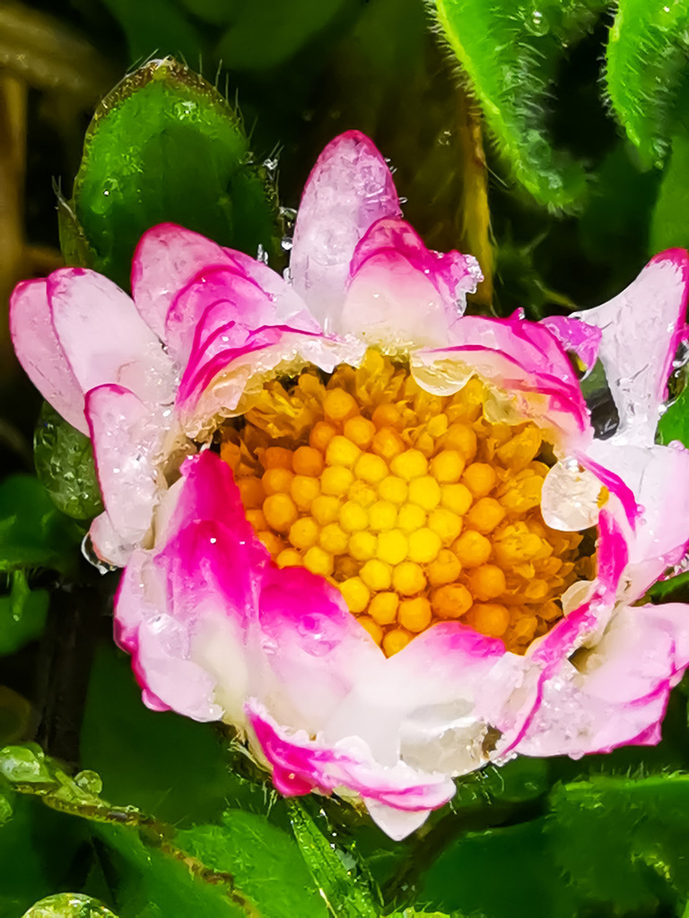 PSX_20230404_225959 | mtkfoto_ - Realisiert mit Pictrs.com