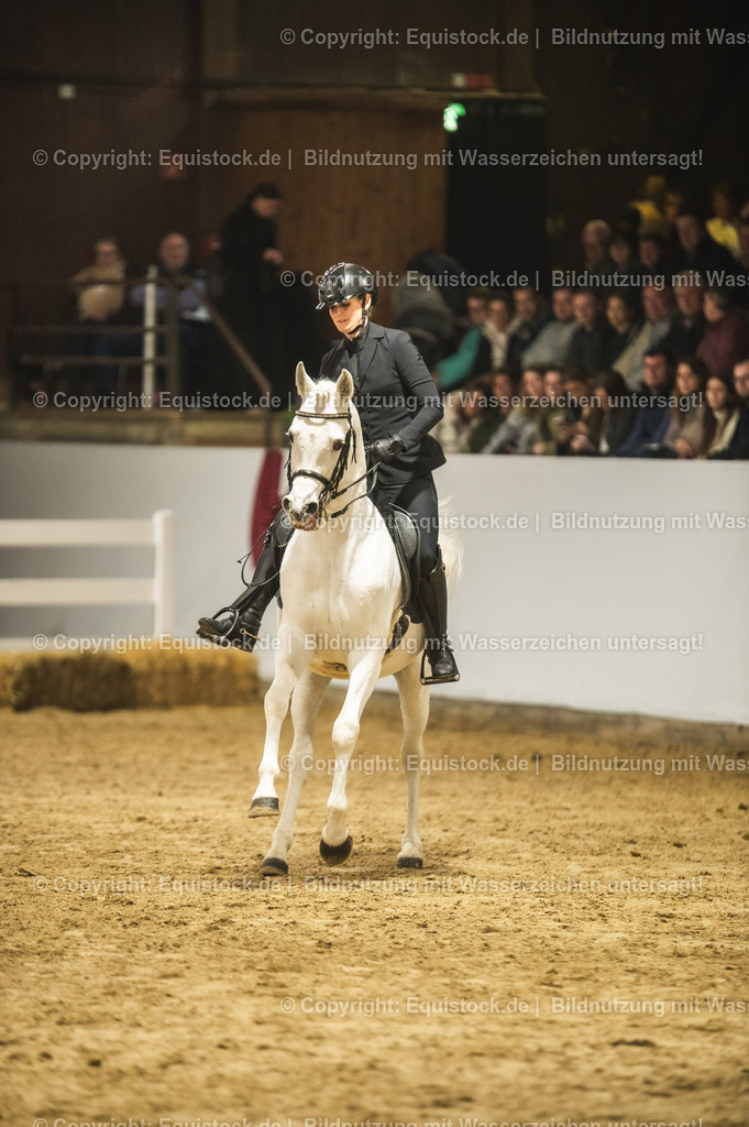 20240302_Hengstvorstellung_Marbach_TOMsPiC_1100 | equistock