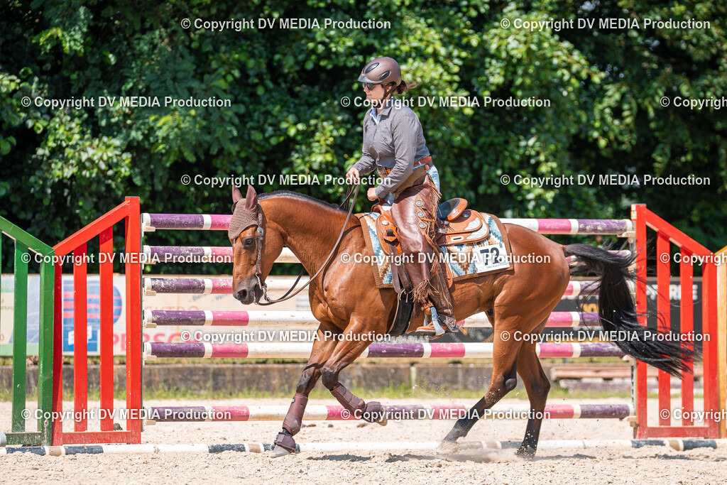 Zeiskam Tag 1-940 | dv-media-shop - Realisiert mit Pictrs.com