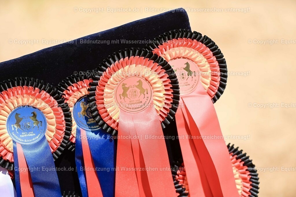 20230715_07_Dressurpferdeprfg. Kl.L_0200 | equistock
