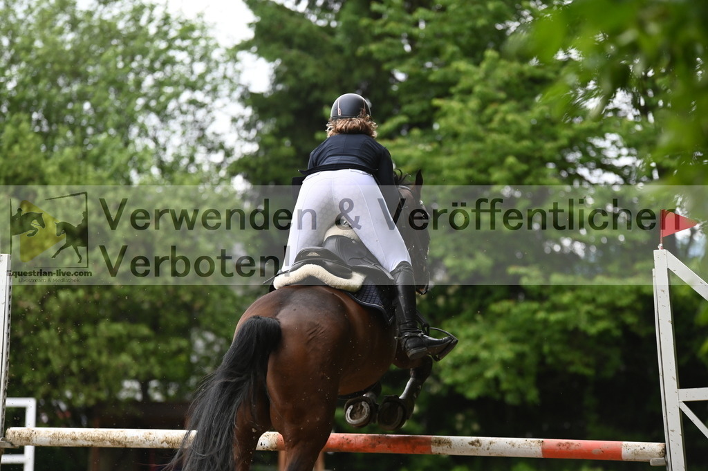 DSC_1585 | equestrian-live-com