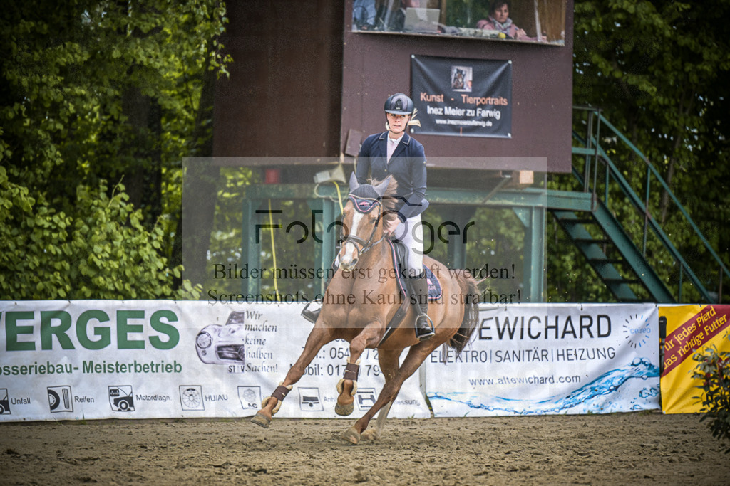 DOS_0623 | Entdecke hochwertige Reitturnierfotos von Foto Oger. Professionell, emotional und authentisch – jetzt Lieblingsmomente im Shop bestellen.Deutschlandweite Turnierfotografie. - Realisiert mit Pictrs.com