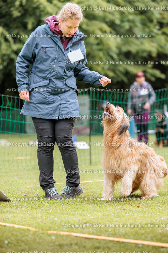 RO-Blumenthal-2026-Nickbest-Hundefotografie-2599 | Dein Hund! Dein Moment! Deine Erinnerungen! Hundefotografie in Bremen Blumenthal. Ich fange die besonderen Momente deines Vierbeiners ein – ob Indoor mit Blitzanlage oder in der freien Natur. Sicher dir dein Moment und dein Termin für eure Erinnerungen.