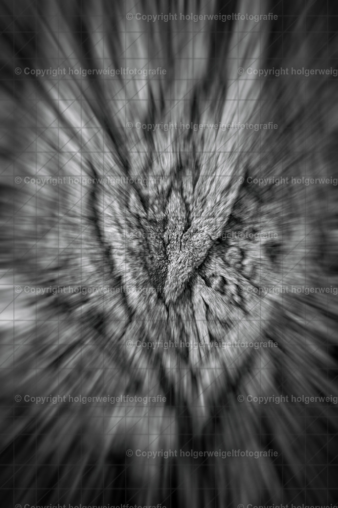 20250920134204_DSC2047-Bearbeitet | Kaufen sie online außergewöhnliche Fotografien auf Leinwand Acrylglas Fotoprint Aludibond von holgerweigeltfotografie - Realisiert mit Pictrs.com