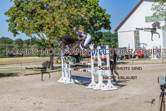 26-7-24 Amateur L-150 | mandyhollmannphotographie