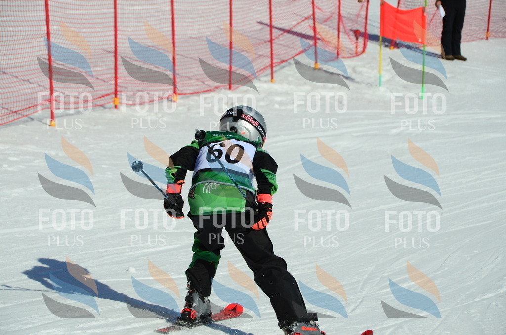 C5360 | holidayphoto