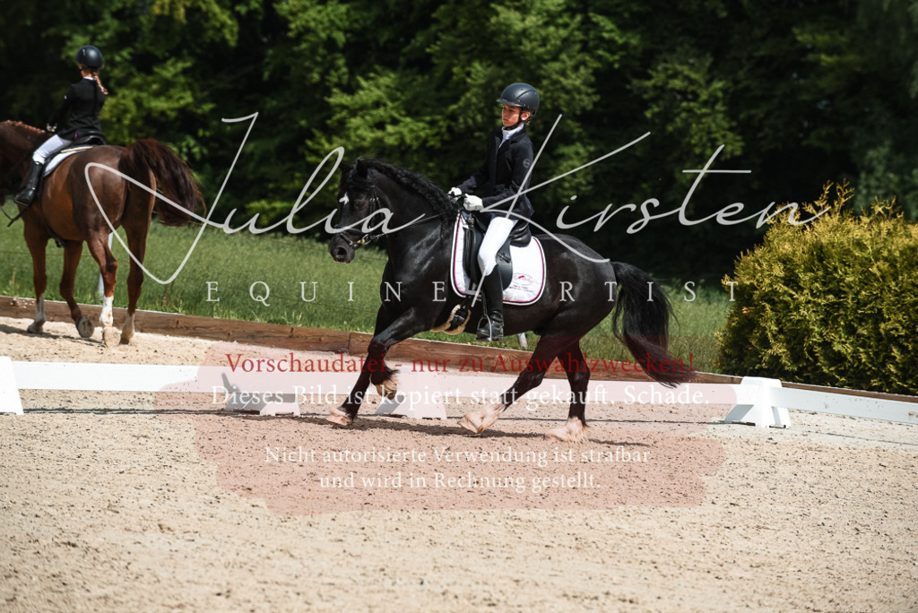20230518_JK-Röhrsdorf-11-0812 | Pferde- und Turnierfotografie in Westsachsen. Pferdeportraits, Auftragszeichnungen und intuitive Kunst.