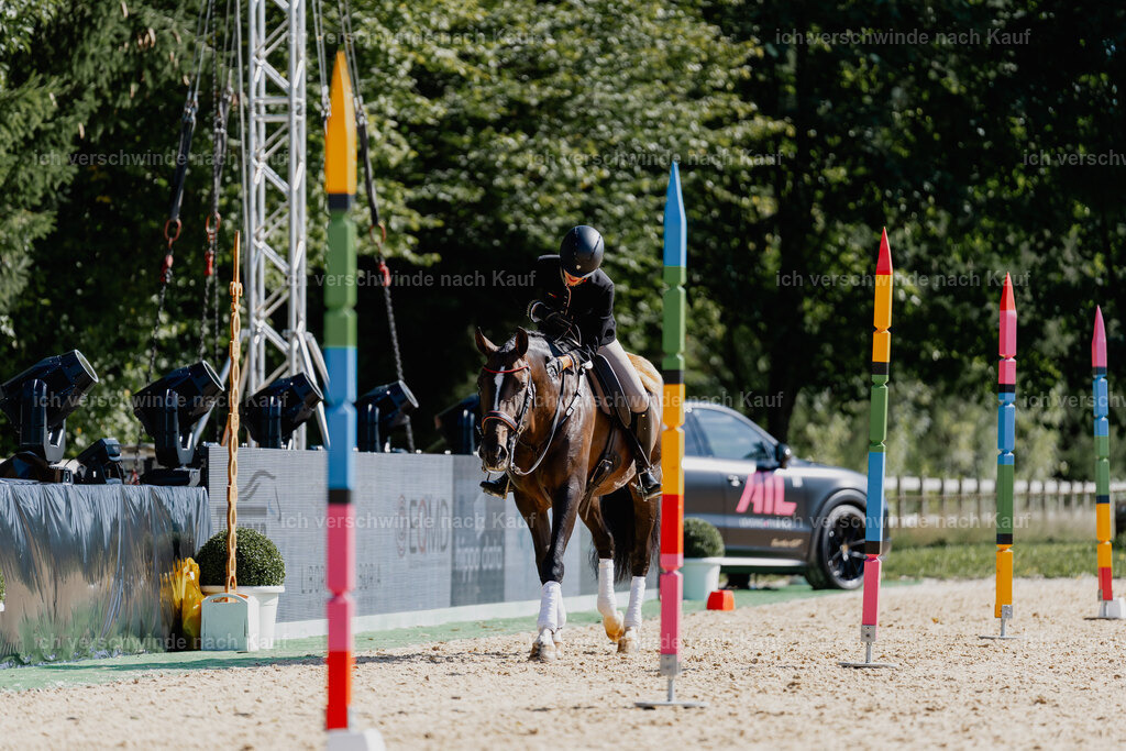 Virginie12FHC2025-09170 | working equitationturnier fotograf videograf stoibphotography marixx film working equitation deutschland reitsport turnierfotografie eventfotografie equestrian events