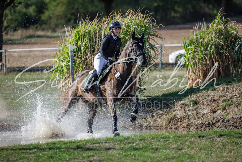 20260905-_3LI0651 | Tierfotografie Pferde, Hunde, Katzen, Haustiere.
Turnierfotografie Reitturniere, Reiten, Springreiten, Dressur in Hanau, dem Main-Kinzig-Kreis und dem Rhein-Main- Gebiet um Frankfurt