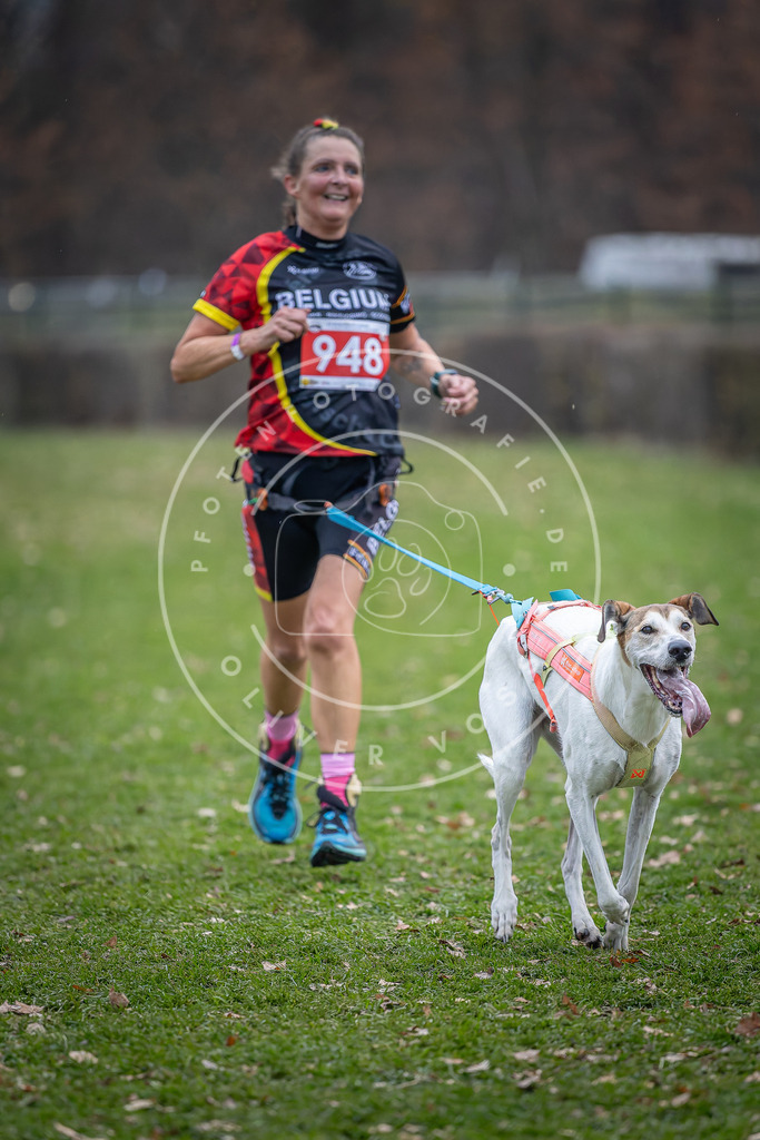 CaniXpix_DV3A7321 | Hundefotografie, Tierfotograf, Pfotenfotografie, Fotoshooting Hund, Hunde Portrait, Hundesport, Hundeportraits, Heideshooting, Hunde, Sportfotograf, Hundefotograf, Turnierhundsport, THS,  - Realisiert mit Pictrs.com
