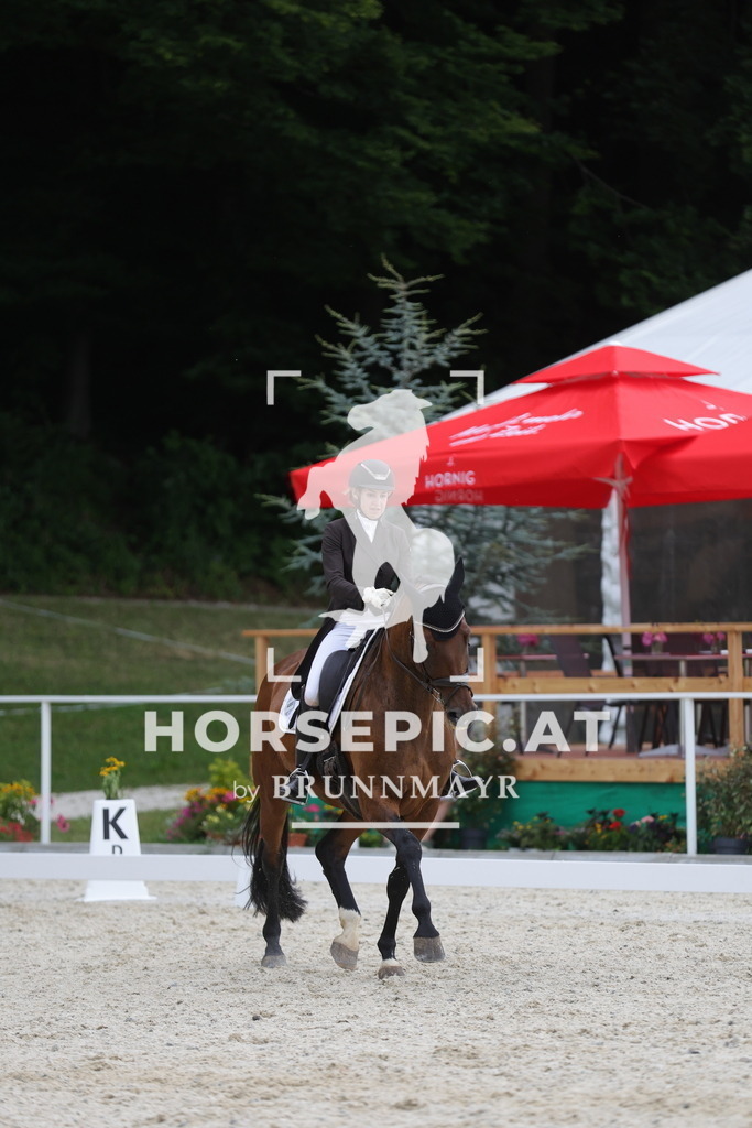 0P6A7296 | Willkommen bei Brunnmayr - Design & Fotografie – Ihrem Spezialisten für Reitturniere und Pferdeveranstaltungen in Oberösterreich, Salzburg und Bayern! Seit über 17 Jahren sind wir leidenschaftlich dabei.