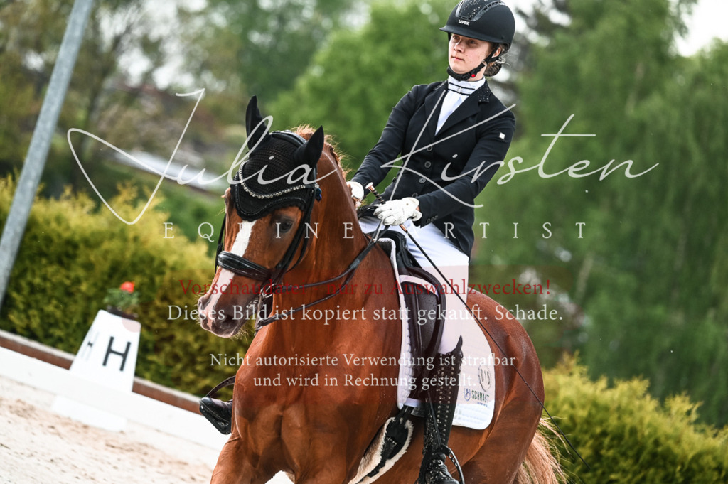 DSC_4294 | Pferde- und Turnierfotografie in Westsachsen. Pferdeportraits, Auftragszeichnungen und intuitive Kunst.