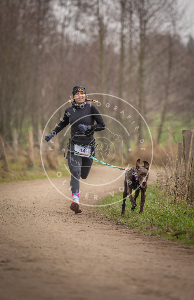 Pfotenfotografie_DV3A2678 | Hundefotografie, Tierfotograf, Pfotenfotografie, Fotoshooting Hund, Hunde Portrait, Hundesport, Hundeportraits, Heideshooting, Hunde, Sportfotograf, Hundefotograf, Turnierhundsport, THS,  - Realisiert mit Pictrs.com