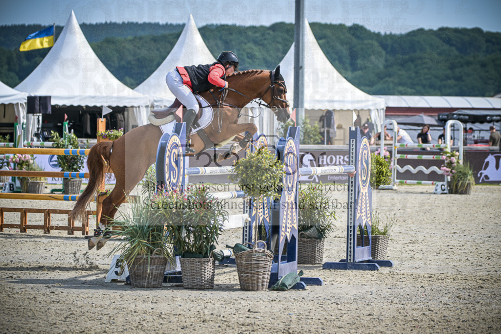 DOS_1440 | Entdecke hochwertige Reitturnierfotos von Foto Oger. Professionell, emotional und authentisch – jetzt Lieblingsmomente im Shop bestellen.Deutschlandweite Turnierfotografie. - Realisiert mit Pictrs.com