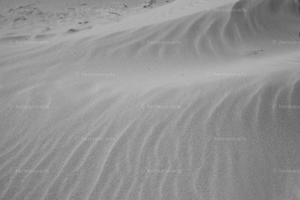 Nature-Arts-039 | Photo Foto Kunst Art schwarzweiss Bilder Rheine Münster Berlin Blumen 