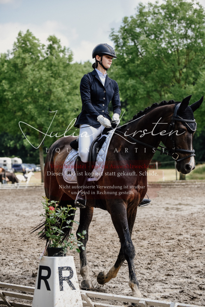 DSC_0842 | Pferde- und Turnierfotografie in Westsachsen. Pferdeportraits, Auftragszeichnungen und intuitive Kunst.