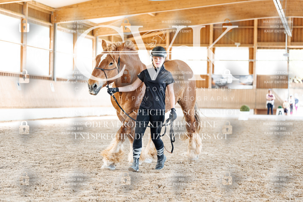 CK907277 | Turnierfotografie Pferdefotografie Trier Rheinland-Pfalz Pferdesport Reitsport Tierfotografie Sportfotografie Pferdevideo Pferdevideografie Equestrianvideography equestrianphotography  - Realisiert mit Pictrs.com
