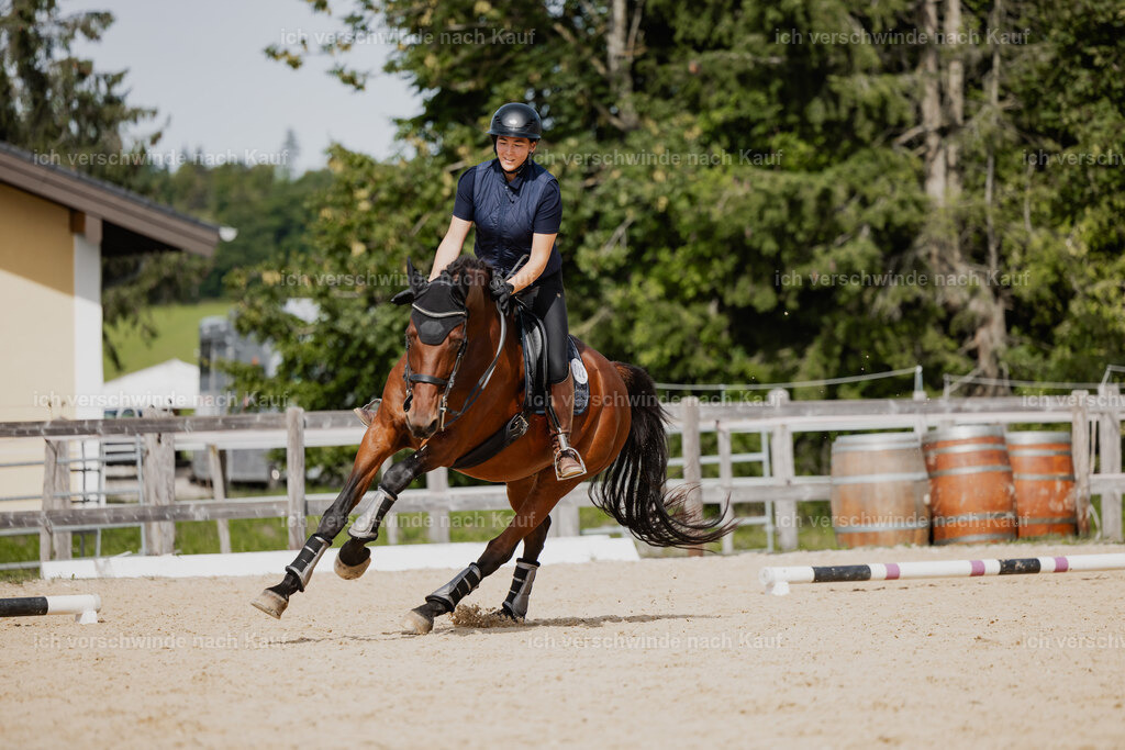 Nadine22_FHC2025-135 | working equitationturnier fotograf videograf stoibphotography marixx film working equitation deutschland reitsport turnierfotografie eventfotografie equestrian events