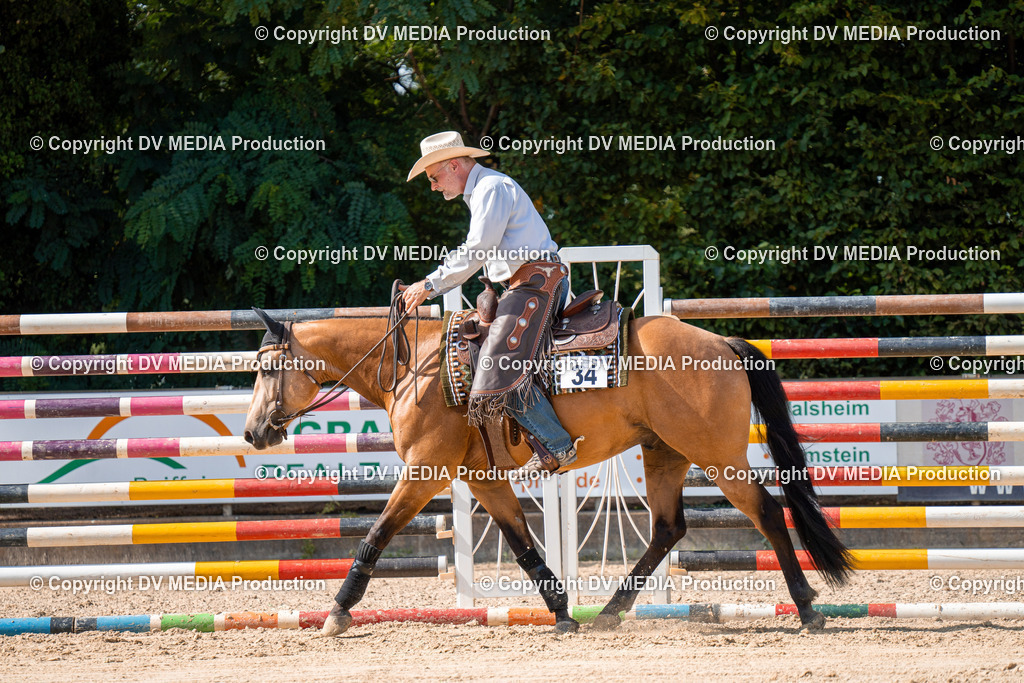 ZH100321 | dv-media-shop - Realisiert mit Pictrs.com