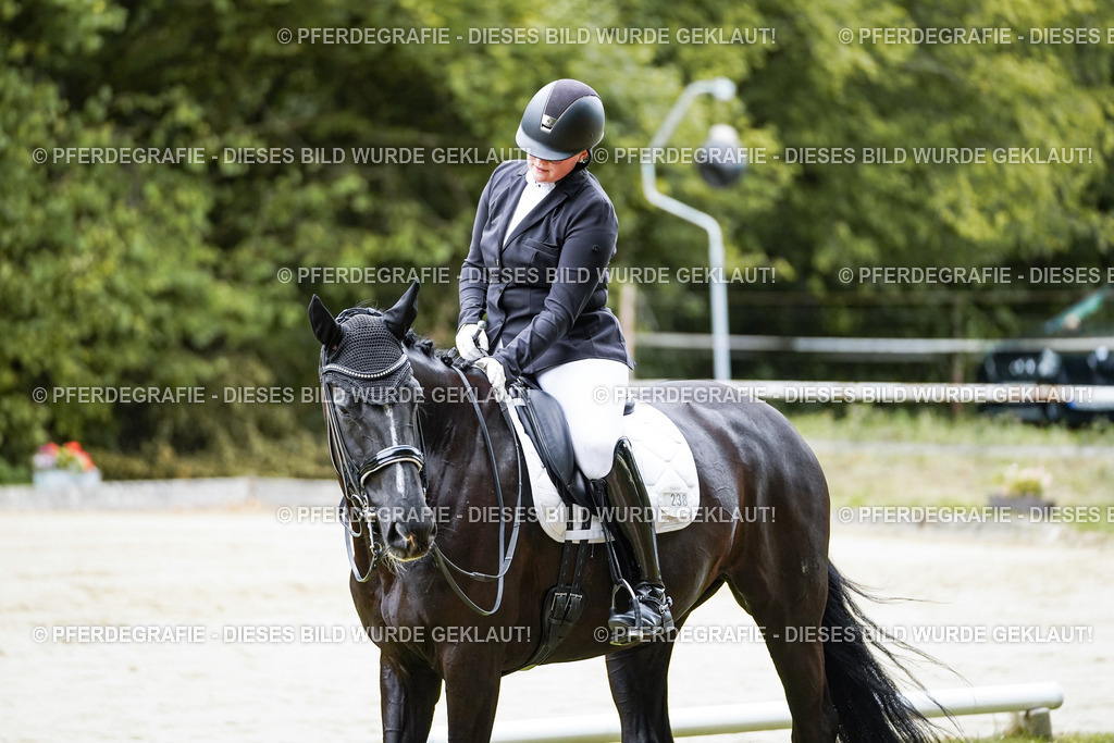 DSC09496 | Pferdegrafie