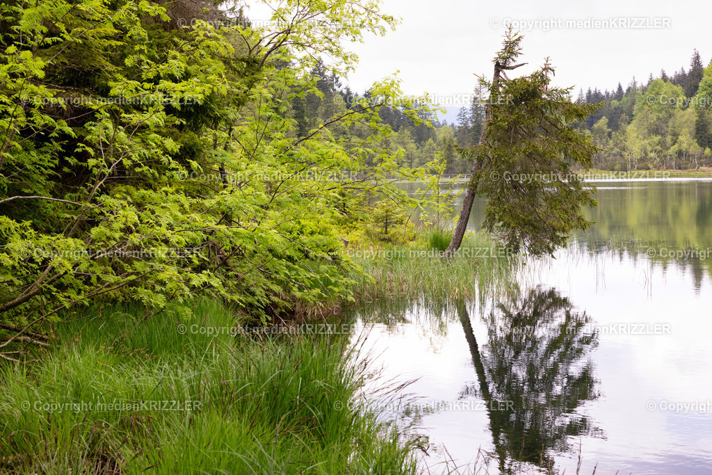Frillensee | medienkrizzler - Realisiert mit Pictrs.com