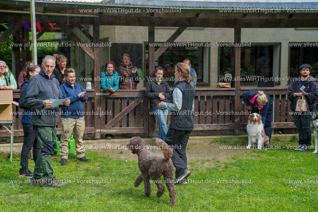 @allesWIRTHgut_Tierfotografie - www.allesWIRTHgut.de - 7R502335 | Professionelle Tierfotografie in Mönchengladbach von Daniel Wirth (allesWIRTHgut). Liebevolle & natürliche Bilder von Hunden & Katzen für unvergessliche Erinnerungen.