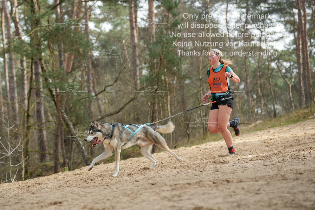 LangeCross-196 | stephaniefillaphotographie - Realisiert mit Pictrs.com