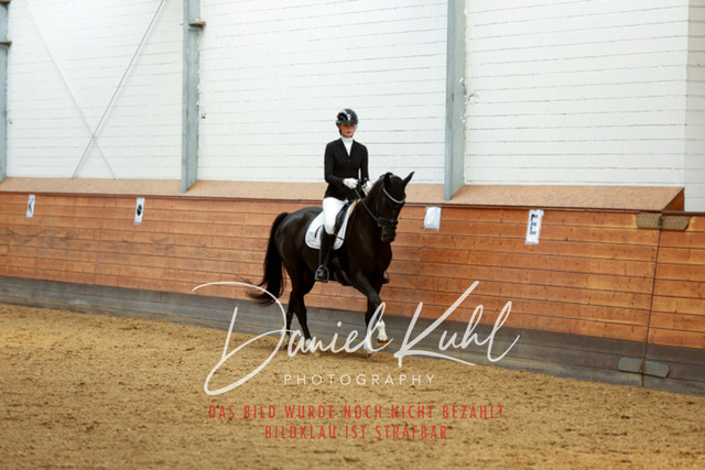 _62_4937 | Turniersportfotografie; Pferdefotografie; Dressurfotografie