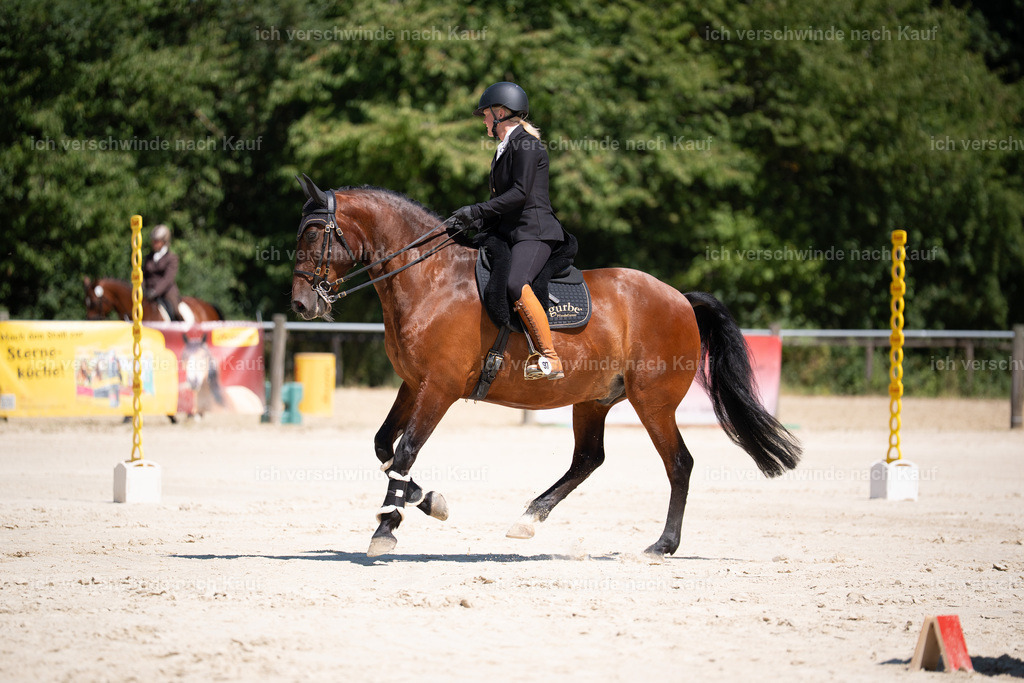 WM_ST_97_stoibphotography__SO11355 | working equitationturnier fotograf videograf stoibphotography marixx film working equitation deutschland reitsport turnierfotografie eventfotografie equestrian events