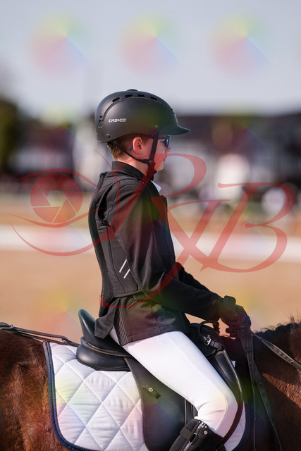 2026_10_03_Siefer-Hof_122322_Z81_24014542 | Professionelle Reitsport-, Turnier- und Eventfotografie von Robert Broda. Galerien mit ausgewählten und bearbeiteten Bildern direkt online ansehen und bestellen.