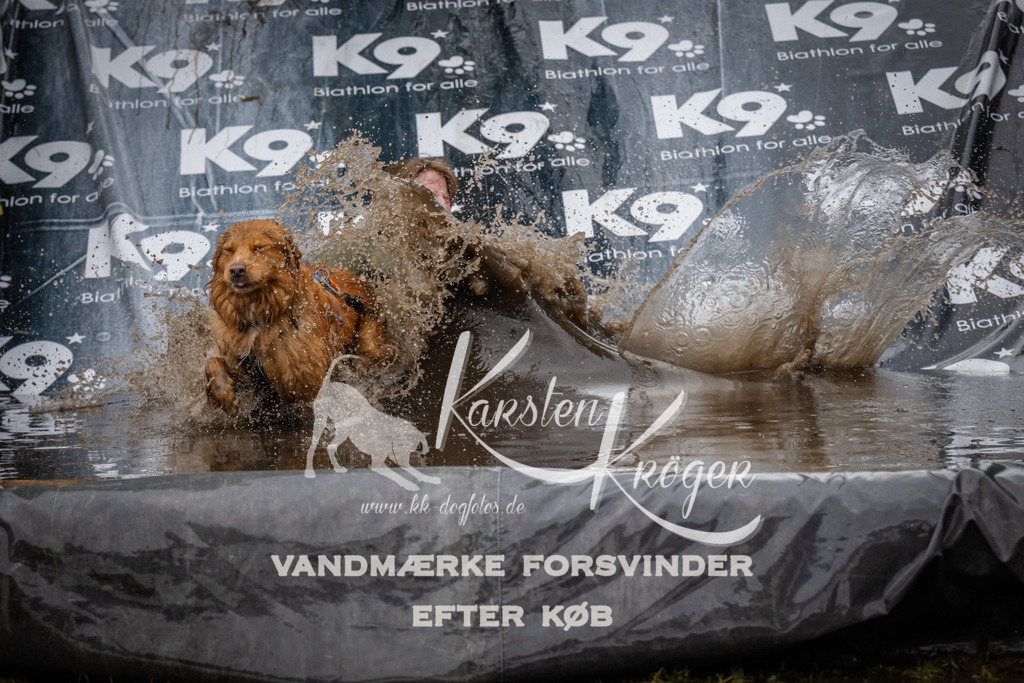 1254_ZZ90811 | kk-dogfotos