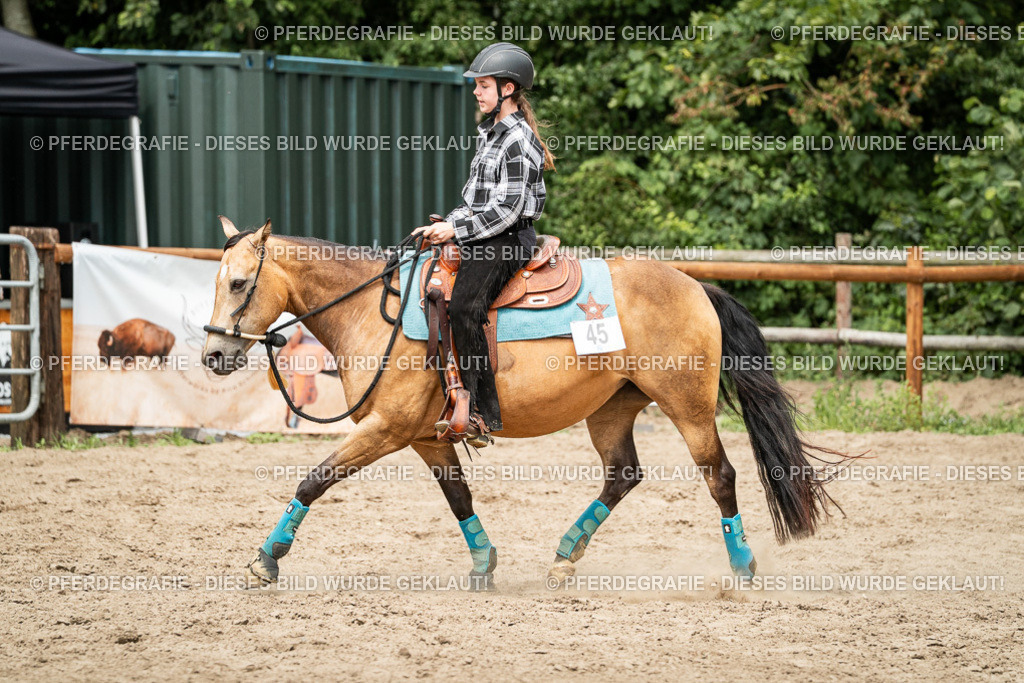 DSC01431 | Pferdegrafie