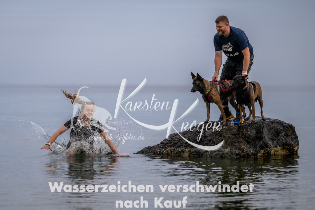 1223_ZZ91465 | kk-dogfotos
