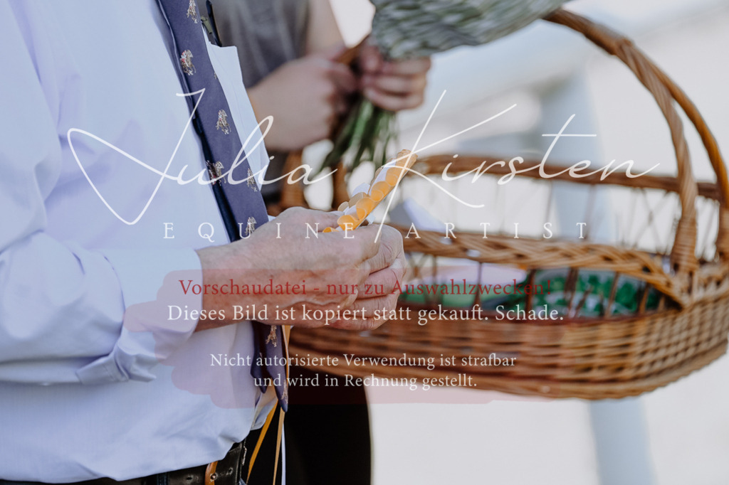 DSC_0866 | Pferde- und Turnierfotografie in Westsachsen. Pferdeportraits, Auftragszeichnungen und intuitive Kunst.