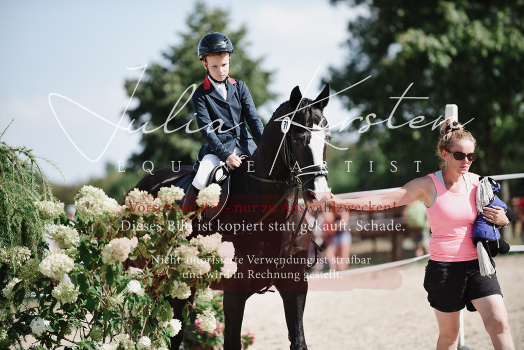 DSC_9886 | Pferde- und Turnierfotografie in Westsachsen. Pferdeportraits, Auftragszeichnungen und intuitive Kunst.