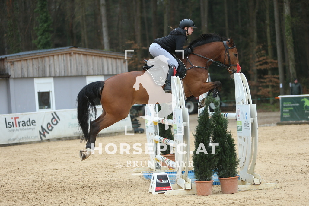 DL2Q7053 | Willkommen bei Brunnmayr - Design & Fotografie – Ihrem Spezialisten für Reitturniere und Pferdeveranstaltungen in Oberösterreich, Salzburg und Bayern! Seit über 17 Jahren sind wir leidenschaftlich dabei.