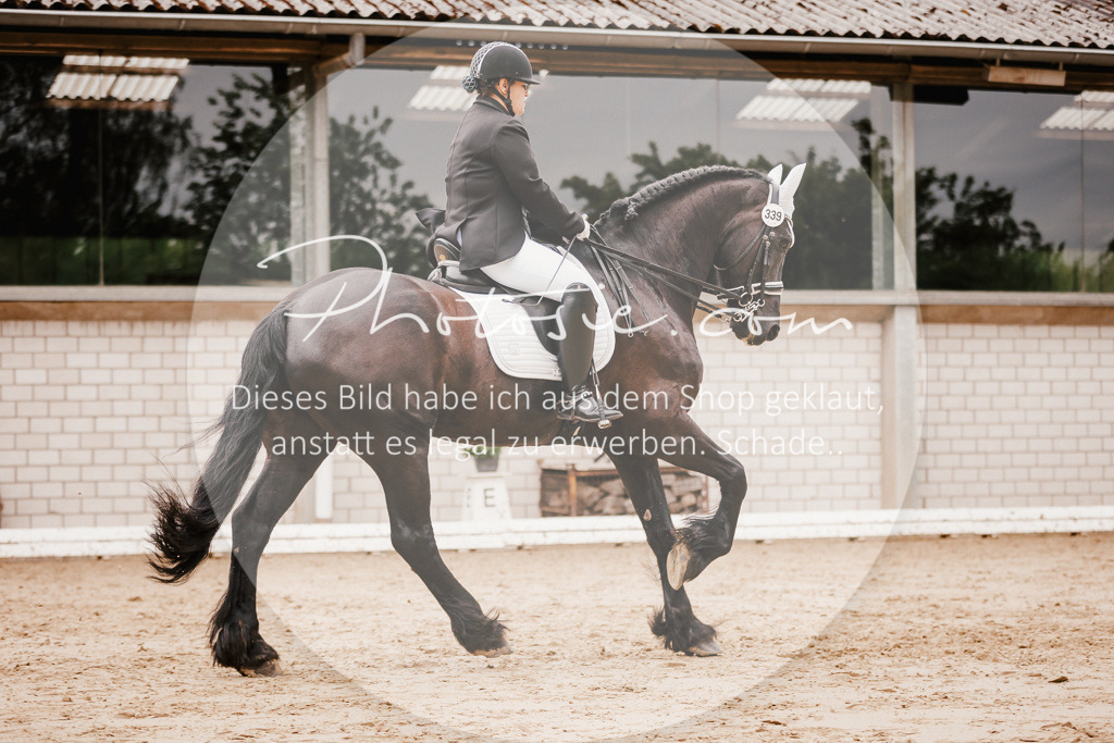 3I6A7740 | Stimmungsvolle Portraits und Reitsportfotografie im Ruhrgebiet und im Münsterland.

Pferdefotografie, Hundefotografie, Tierfotografie, Reportagen, Portraits von Tier und Mensch, Turnierfotografie in Bochum, Recklinghausen, Marl, Haltern am See, Dülmen.. - Realisiert mit Pictrs.com