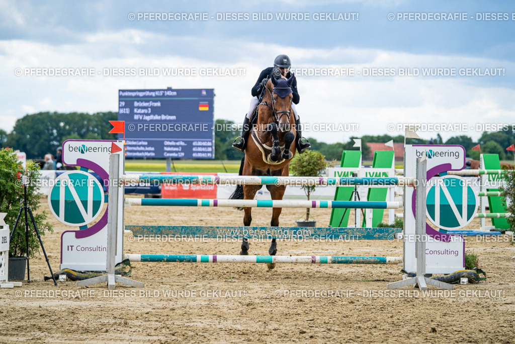 DSC06087 | Pferdegrafie