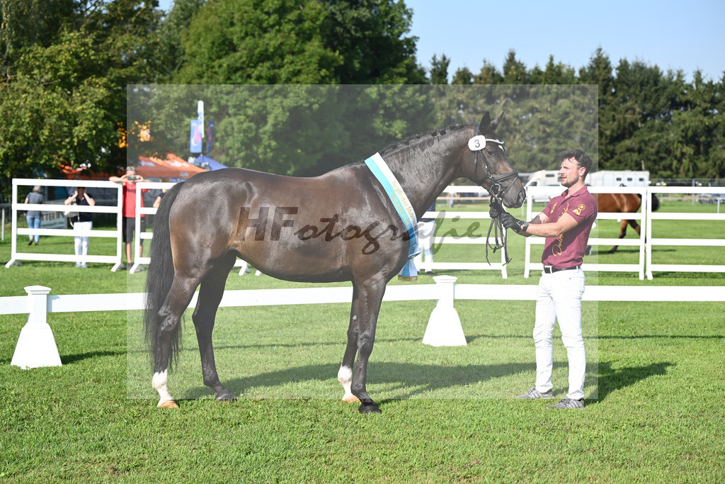 Kat-Nr. 3 Fleur_Hoffmann_34240119 | hf-fotografie - Realisiert mit Pictrs.com